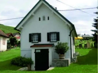 Ein kleines weißes Haus mit grünem Rand steht auf einer grünen Wiese mit einer Pflanze in einem Topf davor.