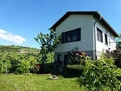 Ein weißes Haus mit schwarzem Dach steht in einem Garten mit grünem Rasen und verschiedenen Pflanzen. Das Haus hat mehrere Fenster, einen Schornstein und ist von Bäumen und Büschen umgeben. Der Himmel ist klar mit einigen Wolken.