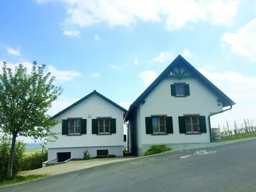 Zwei weiße Häuser mit grünen Fensterläden stehen nebeneinander an einem Hang. Links ist ein Baum, rechts ein Fass und dahinter ein Weinberg.