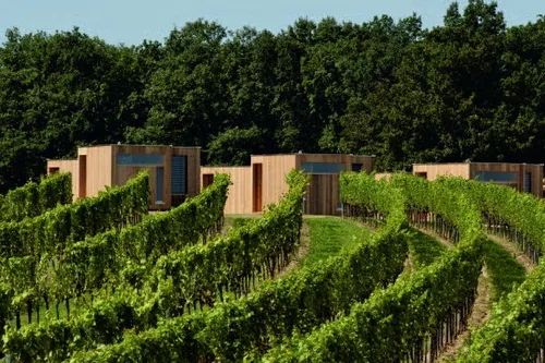 Drei Holzhütten stehen in einem Weinberg mit grünen Pflanzen und Bäumen im Hintergrund.
