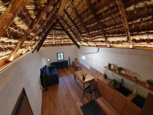 Ein gemütlicher Raum mit Holzboden, einer Couch, einem Schreibtisch und einem Tisch mit Stühlen. Auf dem Regal stehen Topfpflanzen und eine Vase. Eine Lampe ist an der Wand montiert.