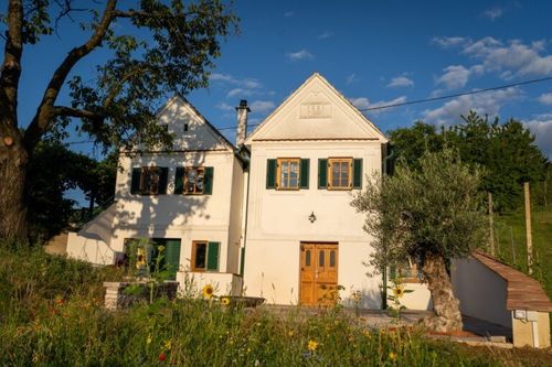 Ein weißes Haus mit grünen Fensterläden und einer braunen Tür steht in einem Feld mit Blumen und Bäumen unter einem blauen Himmel.