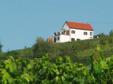 Ein weißes Haus mit rotem Dach steht auf einem Hügel, umgeben von grünen Weinbergen unter einem klaren blauen Himmel.