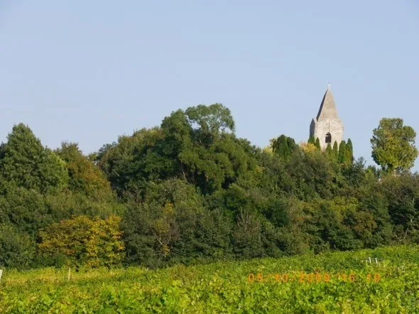 Ein Kirchturm erhebt sich über einem dichten Wald mit verschiedenen grünen Bäumen und Sträuchern unter einem klaren blauen Himmel.