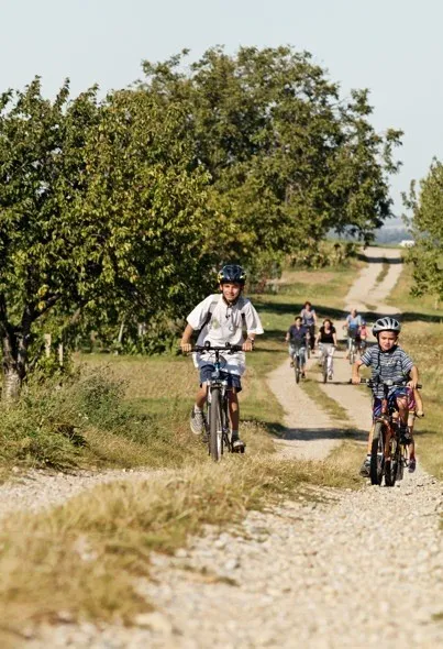 Eine Gruppe von Kindern und Erwachsenen fährt auf einem Kiesweg, der von Bäumen und Gras umgeben ist, mit Fahrrädern.