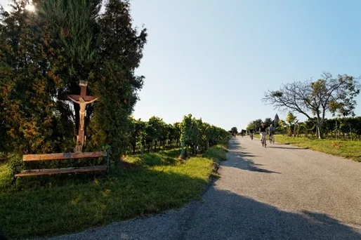 Ein Kreuz steht auf einer Rasenfläche neben einem Schotterweg, mit Radfahrern, die auf dem Weg in einem Weinberg fahren.