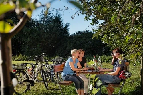 Vier Frauen sitzen um einen Tisch in einem Park, zwei mit Helmen, zwei mit Fahrrädern dahinter geparkt und einem klaren blauen Himmel darüber.