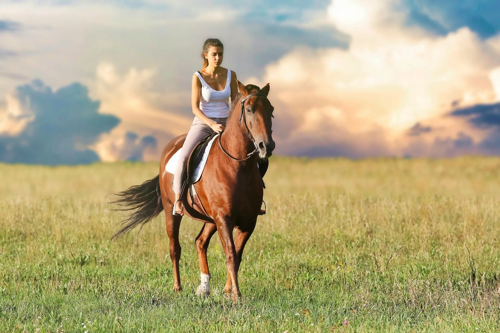 Animal, Horse, Horseback Riding, Leisure Activities, Mammal, Person