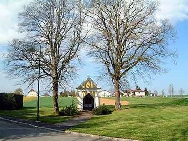 Grass, Nature, Outdoors, Park, Lawn, Housing, Villa, Tree, Gothic Arch, Sycamore