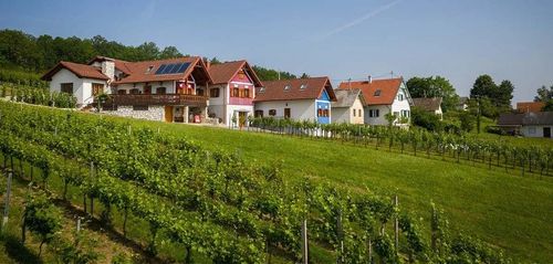 Eine ländliche Landschaft mit einem Weinberg an einem sonnigen Tag. Mehrere Häuser sind in verschiedenen Farben gestrichen, und einige haben Solarpanele auf ihren Dächern.