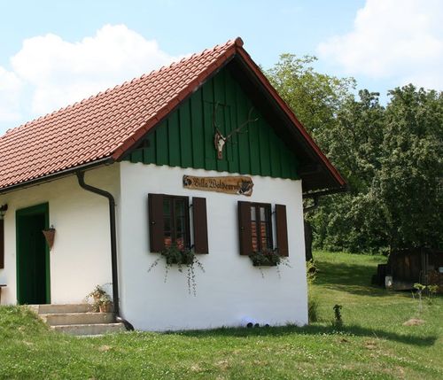 Ein kleines, traditionelles Haus mit rotem Dach und grünen Wänden. Es hat drei Fenster, einen Hirschkopf über der Tür und Topfpflanzen auf den Fensterbänken.