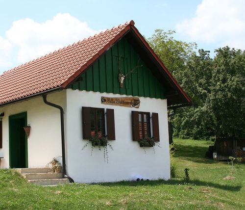 Ein kleines, traditionelles Haus mit rotem Dach und grünen Wänden. Es hat drei Fenster, einen Hirschkopf über der Tür und Topfpflanzen auf den Fensterbänken.