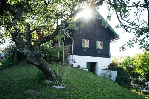 Ein Holzhaus mit grünem Dach, weißen Wänden und Glasfenstern, mit einer Schaukel, die von einem Baum hängt. Das Haus ist von grünem Gras und Blumen umgeben.
