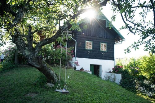 Ein Holzhaus mit grünem Dach, weißen Wänden und Glasfenstern, mit einer Schaukel, die von einem Baum hängt. Das Haus ist von grünem Gras und Blumen umgeben.