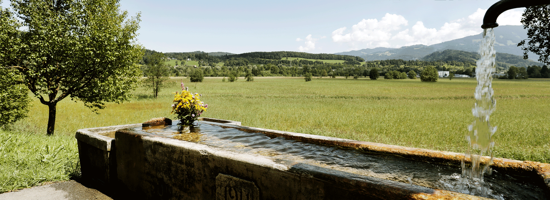 website banner