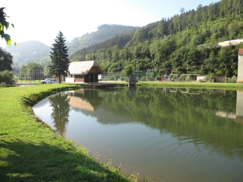 Nature, Outdoors, Pond, Water, Fir, Tree, Scenery, Shelter, Grass, Car