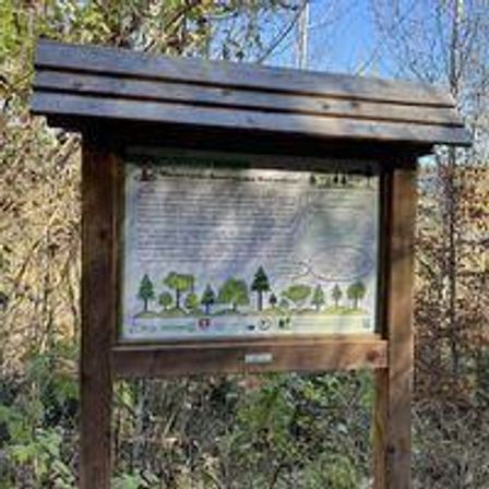 Ein Informationsschild mit einem grünen Brett, das mit einem Holzdach bedeckt ist, steht in einem Wald mit einigen Bäumen im Hintergrund.