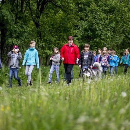 Eine Gruppe von Kindern und einer Frau geht mit einem Hund durch ein Grasfeld. Die Kinder tragen Jacken, und einige tragen Rucksäcke. Die Frau trägt eine rote Jacke und hält eine Leine. Bäume sind im Hintergrund.