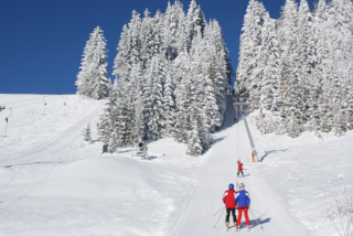 Zwei Skifahrer in roten Jacken fahren einen schneebedeckten Hang hinunter, mit Tannen im Hintergrund. Ein Skifahrer schaut den anderen an.