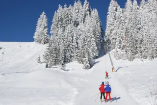 Zwei Skifahrer in roten Jacken fahren einen schneebedeckten Hang hinunter, mit Tannen im Hintergrund. Ein Skifahrer schaut den anderen an.