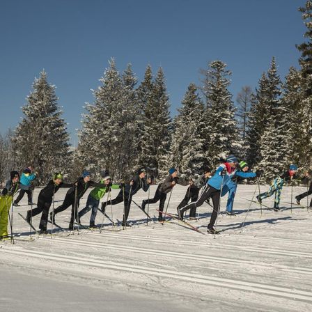 Eine Gruppe von Menschen in Winterkleidung fährt auf einem verschneiten Pfad Skilanglauf, mit immergrünen Bäumen im Hintergrund.