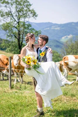 Ein frisch verheiratetes Paar steht in einem Feld mit Kühen im Hintergrund, der Bräutigam hebt die Braut hoch, während sie sich beide anlächeln.