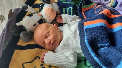 Ein Baby schläft auf einer Decke mit einem Kuh-Plüschtier in der Nähe. Das Baby trägt ein weißes Langarmshirt.