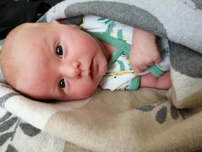 Ein Baby liegt auf einer Decke, eingewickelt in eine grau-weiß gestreifte Decke, trägt grüne und weiße Pyjamas mit einem Dinosaurier-Design.