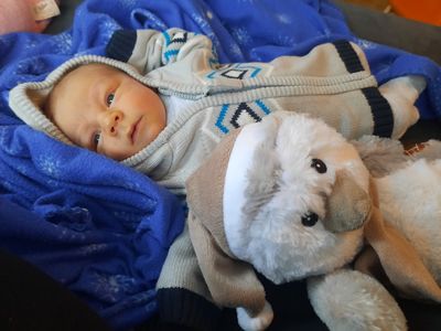 Ein Baby in einem beigen und blauen Pullover liegt auf einer blauen Decke neben einem Kuscheltier.