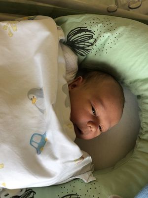Ein Baby liegt auf einem Bett, das mit einer weißen Decke mit einem Pinguin und einem Auto bedeckt ist. Das Baby lugt unter der Decke hervor.