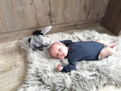 Ein Baby liegt auf einem weißen Fellteppich, trägt ein blaues Langarmshirt und schaut zu einem Plüsch-Esel-Spielzeug. Der Hintergrund besteht aus Holzwänden.