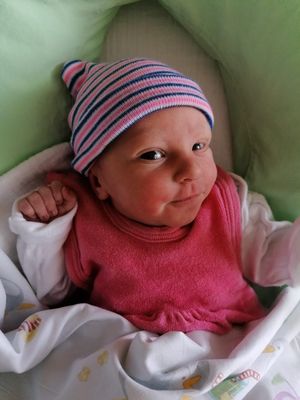 Ein Babymädchen in einem rosa Oberteil und einer rosa und blau gestreiften Mütze liegt auf einer grünen Decke und schaut in die Kamera.