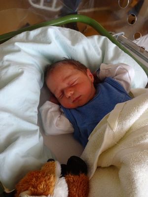 Ein Neugeborenes schläft friedlich in einem Krankenhausbett, eingewickelt in eine weiße Decke, mit einem Kuscheltier in der Nähe.