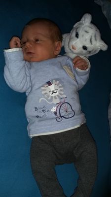 Ein Baby in einem blauen Shirt mit einem Löwen, der ein Fahrrad fährt, schläft auf einer blauen Oberfläche.
