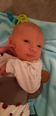 Ein Babyjunge liegt auf einer blauen Decke und trägt ein weißes Shirt mit Bärendesign. Er hat einen kleinen Muttermal auf der Nase und berührt seine Wange mit der Hand.