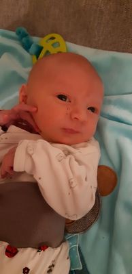 Ein Babyjunge liegt auf einer blauen Decke und trägt ein weißes Shirt mit Bärendesign. Er hat einen kleinen Muttermal auf der Nase und berührt seine Wange mit der Hand.