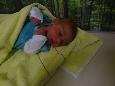 Ein Neugeborenes, eingewickelt in eine gelbe Decke, liegt auf einem grünen Handtuch, mit einem Waldhintergrund.