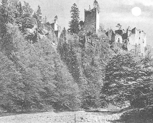 Ein Schwarz-Weiß-Bild zeigt eine Ruine einer Burg auf einem Felsvorsprung mit einem Vollmond am Himmel. Die Burg ist von dichten Bäumen umgeben.