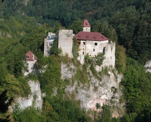 Ein Luftbild einer Burg auf einem felsigen Felsen, umgeben von einem dichten Wald. Die Burg hat ein rotes Dach und mehrere Fenster.