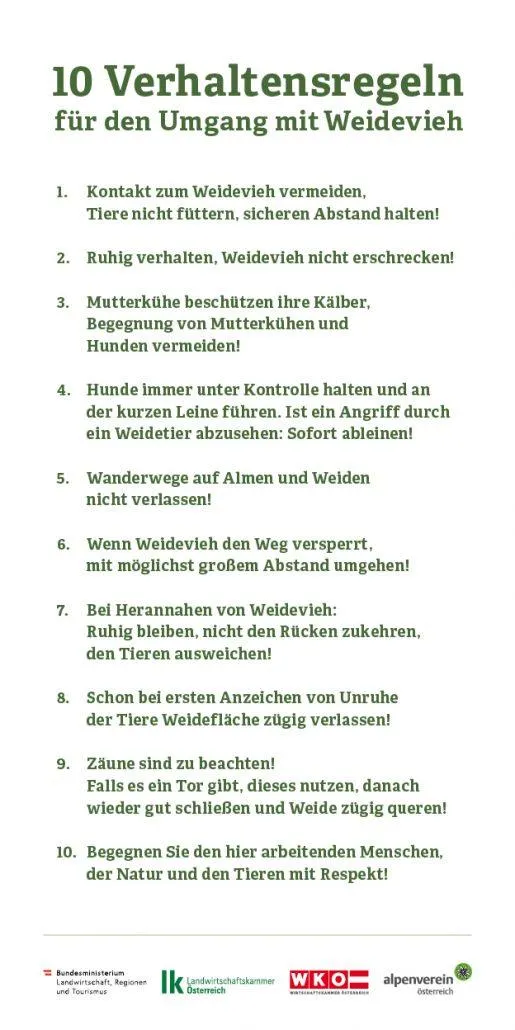 Vermeiden Sie den Kontakt mit dem Wildvieh, füttern Sie die Tiere nicht, halten Sie Abstand! Bleiben Sie ruhig, erschrecken Sie das Wildvieh nicht! Vermeiden Sie die Begegnung von Mutterkühen und Kälbern sowie Hunden! Halten Sie Hunde immer unter Kontrolle und an der kurzen Leine. Wenn ein Angriff durch ein Wildtier zu erwarten ist: sofort abdrehen! Wanderwege auf Almen und Weiden nicht verlassen! Wenn Wildvieh den Weg versperrt, umgehen Sie es mit möglichst großem Abstand! Bei Herannahen von Wildvieh: ruhig bleiben, nicht den Rücken zukehren, den Tieren ausweichen! Bei ersten Anzeichen von Unruhe der Tiere Weidefläche zügig verlassen! Zaun beachten! Falls ein Tor vorhanden ist, dieses nutzen, danach wieder gut schließen und Weide zügig queren! Begegnen Sie den hier arbeitenden Menschen, der Natur und den Tieren mit Respekt!