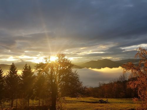 Die Sonne geht über einem Tal auf und wirft Licht durch einen Baum, mit Bergen und Wolken in der Ferne.