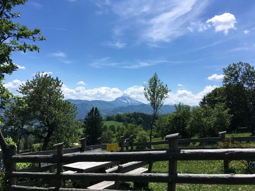 Ein Picknicktisch unter einem Holzzaun in einem üppigen grünen Feld, mit Bergen in der Ferne und einem klaren blauen Himmel.