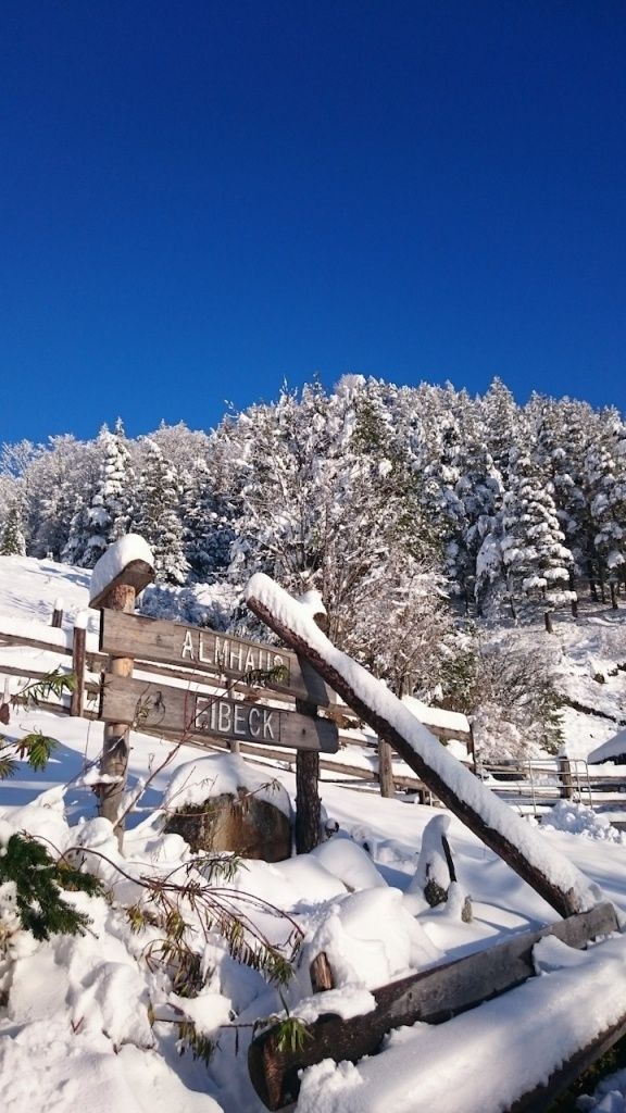 Ein Holzschild mit 'ALMHAI' und 'FIEBECK' auf einem verschneiten Berg mit Tannen, unter einem klaren blauen Himmel.
