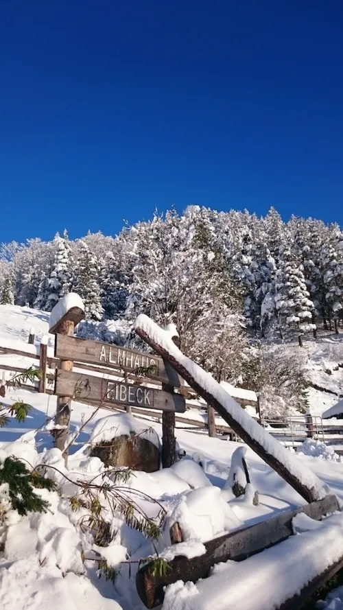 Ein Holzschild mit 'ALMHAI' und 'FIEBECK' auf einem verschneiten Berg mit Tannen, unter einem klaren blauen Himmel.