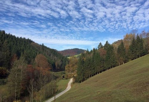 Ein malerischer Blick auf einen Hügel mit einem kurvenreichen Weg und einem entfernten Haus, umgeben von einem üppigen Wald, unter einem blauen Himmel mit verstreuten Wolken.