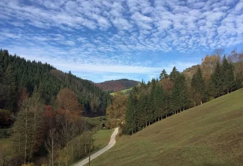Ein malerischer Blick auf einen Hügel mit einem kurvenreichen Weg und einem entfernten Haus, umgeben von einem üppigen Wald, unter einem blauen Himmel mit verstreuten Wolken.