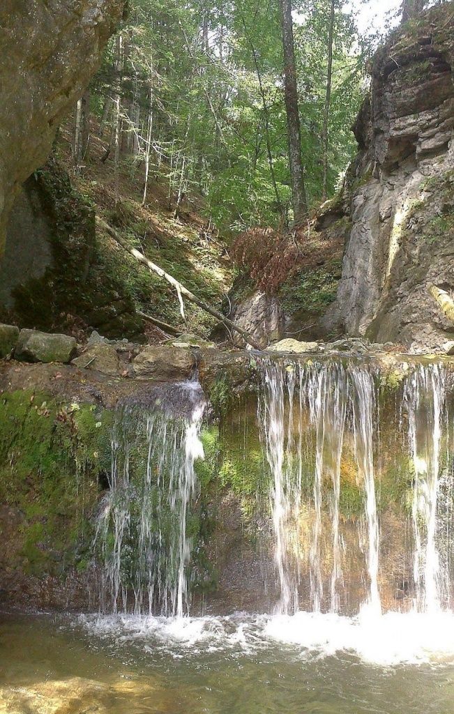 Ein Wasserfall strömt an einem felsigen Abhang herab, umgeben von moosbedeckten Felsen und Grün. Der Hintergrund des Waldes trägt zur friedlichen Wildnisszene bei.