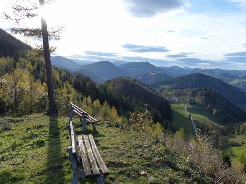 Zwei Holzbänke stehen auf einem grasbewachsenen Hügel unter einem Baum. Die Sonne scheint hell und wirft Schatten. Berge und Bäume umgeben ein grünes Tal.