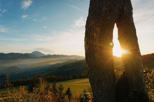Ein landschaftlicher Blick auf eine Berglandschaft bei Sonnenaufgang mit einem Baumstamm im Vordergrund, durch den das Sonnenlicht scheint.