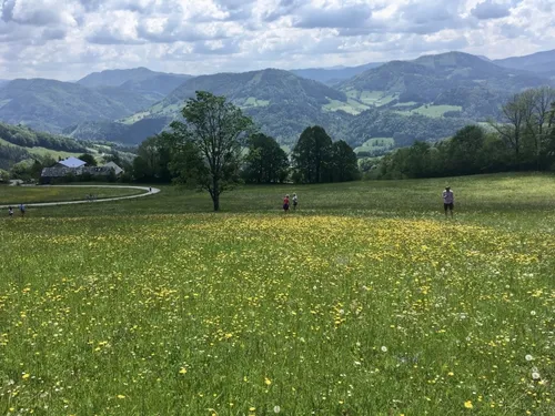 Ein weites Feld mit gelben Blumen unter einem bewölkten Himmel. Mehrere Menschen gehen herum, einer trägt einen Hut. Es gibt Bäume und Berge in der Ferne.